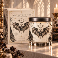 Anatomy of Night - A Study in Gothic Stillness